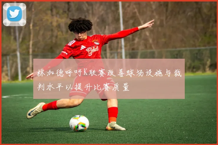 林加德呼吁K联赛改善球场设施与裁判水平以提升比赛质量