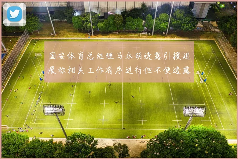 国安体育总经理马永明透露引援进展称相关工作有序进行但不便透露名字