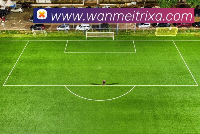 完美体育平台生态图